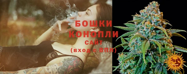 мяу мяу мука Вязьма
