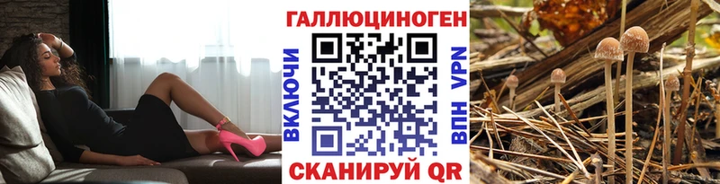 где найти наркотики  Железногорск  Псилоцибиновые грибы прущие грибы 